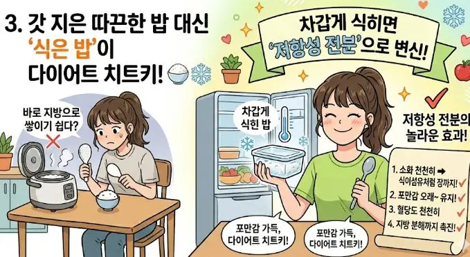 다이어트 꿀팁 저항성 전분