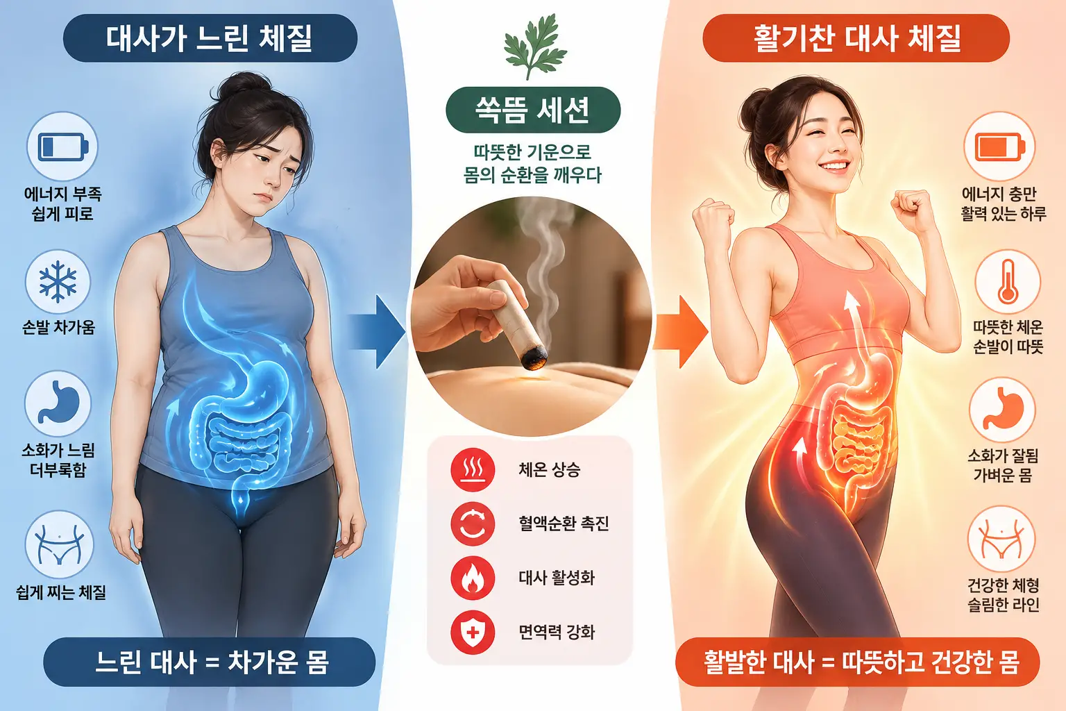대사가 느린 체질과 쑥뜸을 통한 체온 관리 및 활기찬 대사 변화를 보여주는 인포그래픽